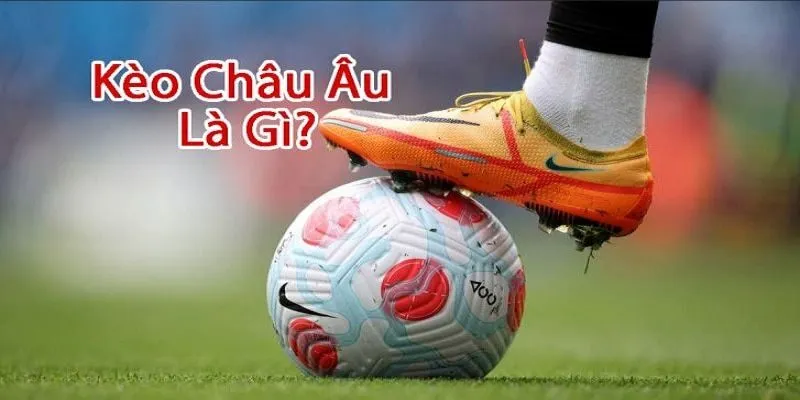 Bảng kèo bóng đá châu Âu hiển thị các lựa chọn 1X2 tại giao diện 69VN